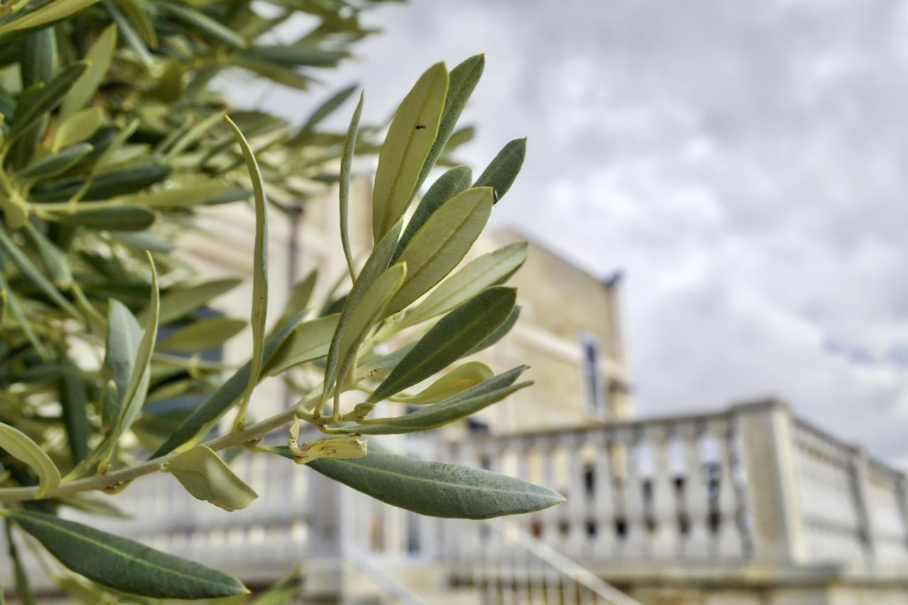 Tenuta Lama Gorga Trani Εξωτερικό φωτογραφία