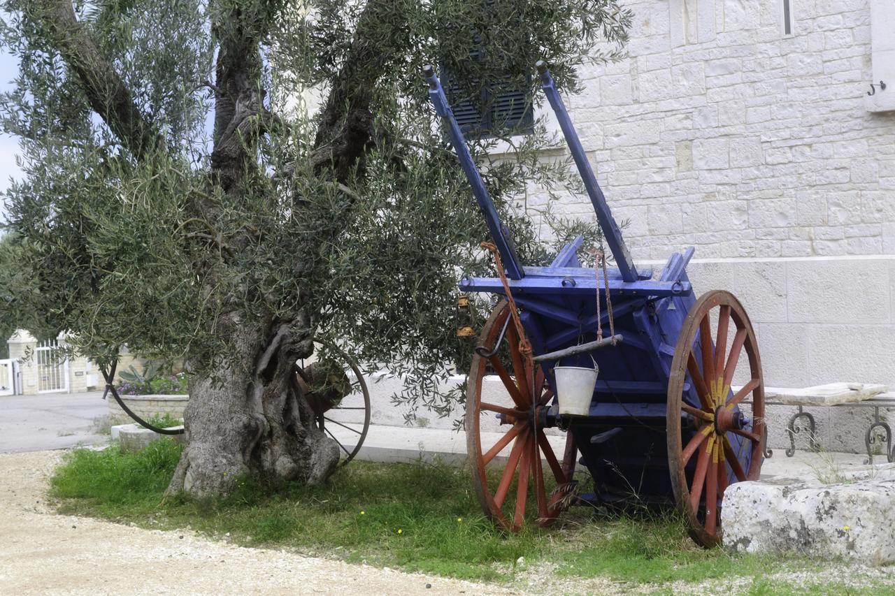 Tenuta Lama Gorga Trani Εξωτερικό φωτογραφία